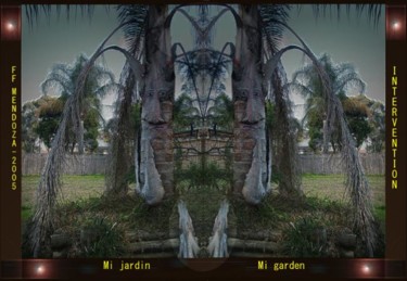 Changing faces in mi garden,the palm tree