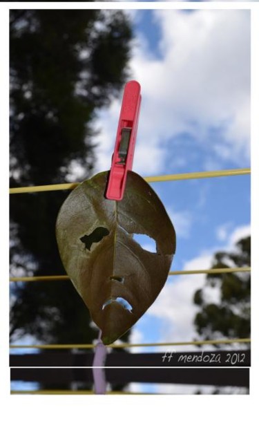 Tendedero al cotidiano /Clothesline